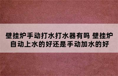 壁挂炉手动打水打水器有吗 壁挂炉自动上水的好还是手动加水的好